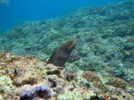 zanpaDSC07508.jpg