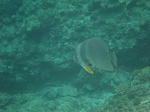 maedaIMG_0327.jpg