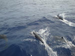 keramaDSC07591.jpg