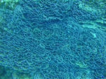 keramaDSC07614.jpg
