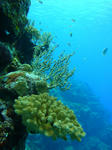 keramaDSC07646.jpg