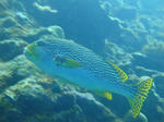 keramaDSC07683.jpg
