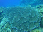 keramaDSC08228.jpg