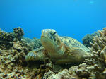 keramaDSC08346.jpg