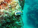 shukuIMG_0527.jpg