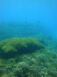 0912onnaDSC09180.jpg