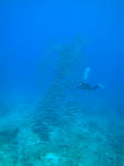 keramaDSC09277.jpg