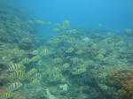 sunabeDSC09672.jpg