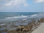 oouraDSC09695.jpg