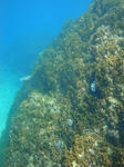 oouraDSC09358.jpg