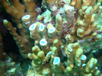 oouraDSC09354.jpg