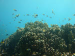 oouraDSC09375.jpg