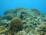 oouraDSC09461.jpg