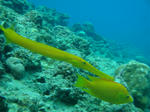 maedaDSC09752.jpg