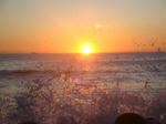 maedaDSC09806.jpg