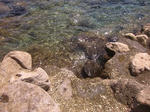 shukuIMG_0949.jpg