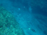 shukuIMG_0978.jpg