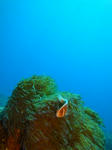 inanDSC01148.jpg