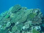 oodoDSC09981.jpg
