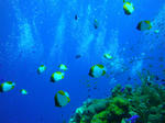 tonakiDSC00395.jpg