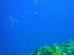 tonakiDSC00385.jpg