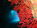 tonakiDSC00435.jpg