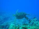 tonakiDSC00484.jpg