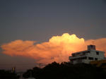 tonakiDSC00537.jpg