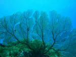 keramaDSC00222.jpg