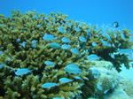 keramaDSC00255.jpg