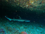 onnaDSC00562.jpg