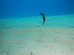 onnaDSC00586.jpg