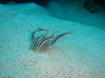 onnaDSC00592.jpg