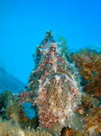 onnaDSC00596.jpg