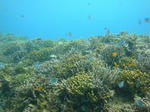 kurosuDSC01220.jpg
