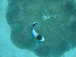 kurosuDSC01245.jpg