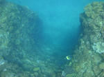 zanpacyatanDSC00844.jpg