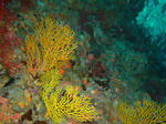 zanpacyatanDSC00824.jpg