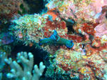 zanpacyatanDSC00846.jpg