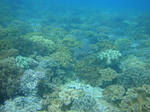 zanpacyatanDSC00830.jpg