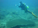 zanpacyatanDSC00869.jpg