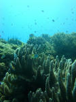 zanpacyatanDSC00902.jpg