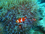 zanpacyatanDSC00897.jpg