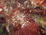 shukuIMG_0404.jpg