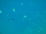 onnaDSC01022.jpg
