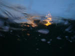calnightDSC00772.jpg