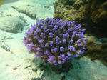 oodoDSC01107.jpg