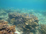 oodoDSC01089.jpg
