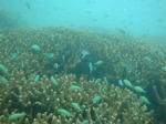 oouraDSC01421debaumeiro.jpg