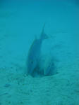 keramaDSC01603.jpg